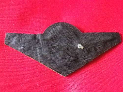 SAP TASK FORCE- FIELD DRESS EMBROIDERED PARA WING - OBSOLETE - BORDER WAR PERIOD   (107)