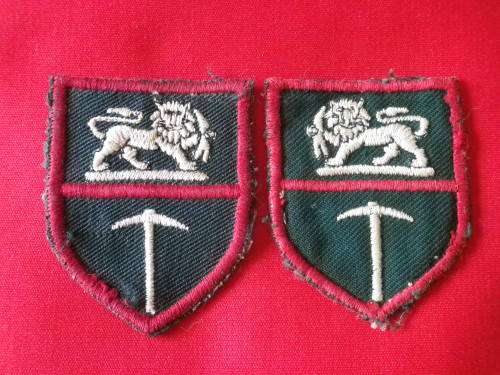 RHODESIAN ARMY- FACING PAIR OF EMBROIDERED SHOULDER  PATCHES   (4731)