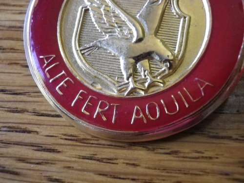 SA  - AWB GILDING METAL + ENAMEL BERET BADGE   (P2)