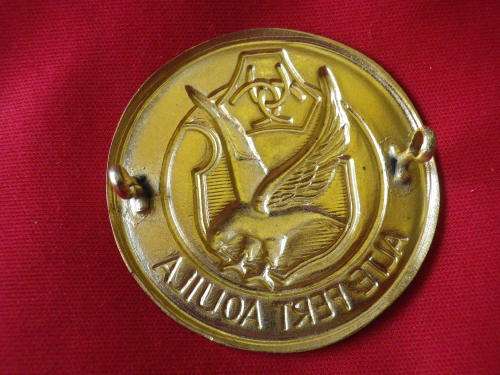 SA  - AWB GILDING METAL + ENAMEL BERET BADGE   (P2)