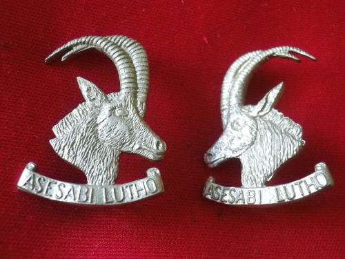 RHODESIAN ARMOURED CAR REGT. FACING PAIR W/M COLLAR BADGES   (177)