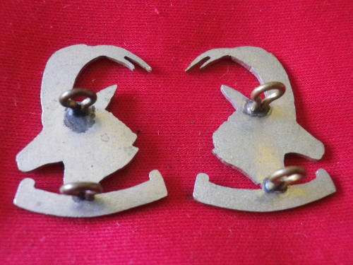 RHODESIAN ARMOURED CAR REGT. FACING PAIR W/M COLLAR BADGES   (177)