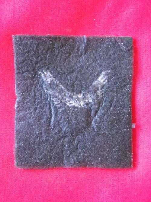 RHODESIAN AFRICAN RIFLES - TRACKERS EMBROIDERED ARM PATCH - SEE MORE BELOW - SCARCE      (6355)