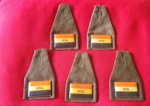 SA ARMY - LOT 5 X CADETS FOBS       (515)