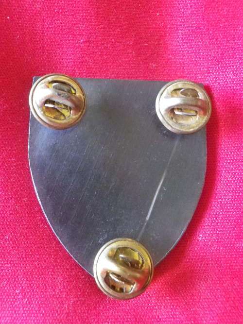 SWATF - 1 SWA PARA BATT. POCKET FLASH - ALL PINS - MAX WIDTH 38.5mm - DINNES 5288           (2506)