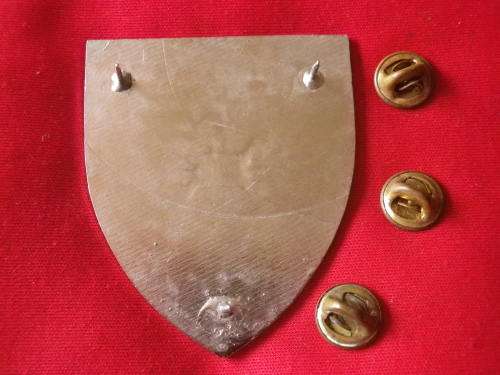 SADF - 1 SIGNAL REGT.  FLASH  - DINNES 4578 VARIATION   -   ALL PINS                 (7226)