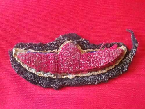 RHODESIAN SAS - EARLY 1960'S PARA WING- BLACK BACKING- 1ST RHOD. MADE - FOR ALL DRESS - RARE(3853)