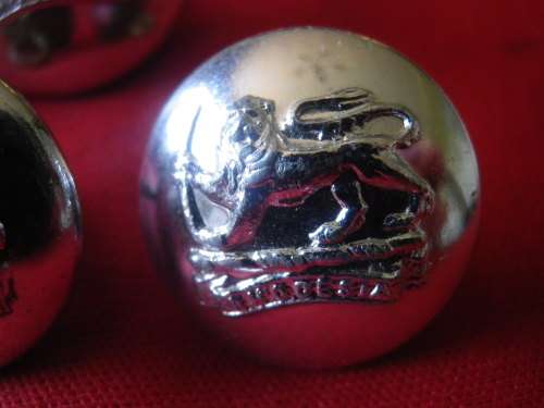 RHODESIAN ARMY - SET 14 X SILVER ANODISED BUTTONS - OD'S 23/19/15mm - SS,GREY'S, SAS, RLI  (3027)