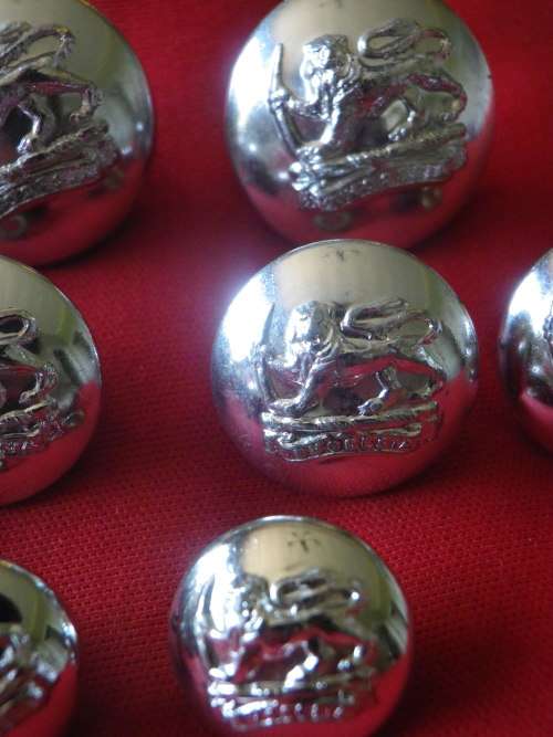 RHODESIAN ARMY - SET 14 X SILVER ANODISED BUTTONS - OD'S 23/19/15mm - SS,GREY'S, SAS, RLI  (3027)