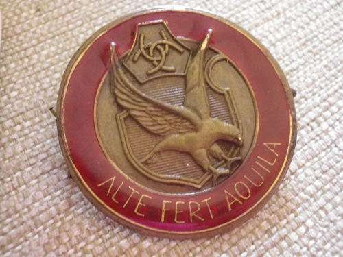 AWB BODYGUARD BERET BADGE + WENKOMMANDO SHOULDER FLASH & RANK  - RARE LOT  (2705)
