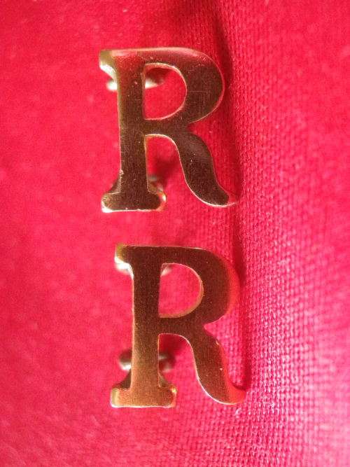 RHODESIA BSAP - RESERVISTS GOLD ANODISED COLLAR BADGES    (7672)
