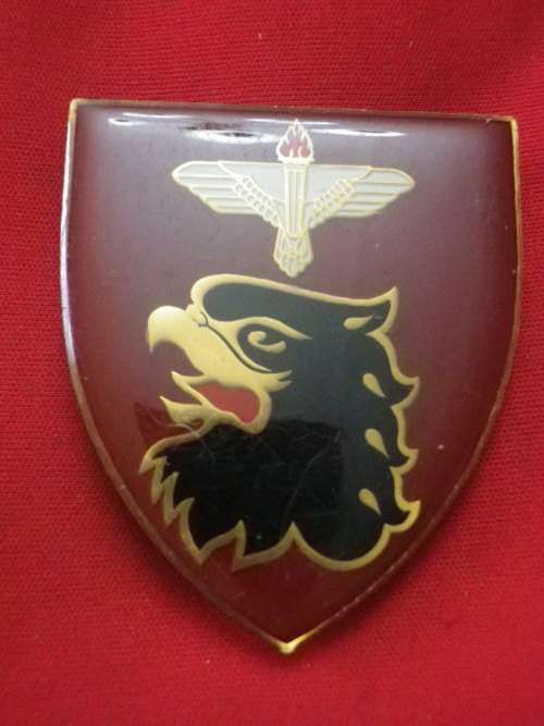 SADF - PARA PATHFINDERS FLASH    (2697)