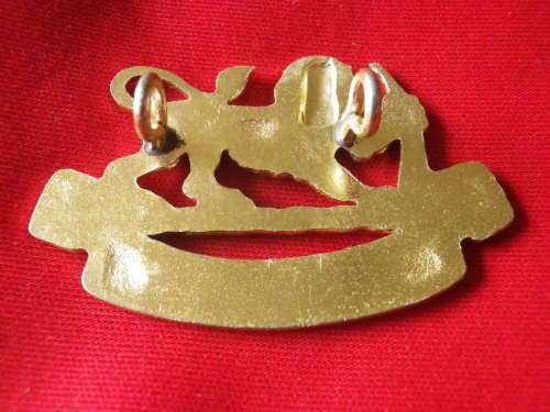 RHODESIAN STAFF CORPS + GENERAL SERVICE -  ANODISED CAP BADGE        (7705)