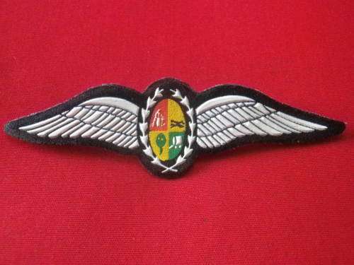 SAAF - PILOTS TUPPER WINGS     (4811)