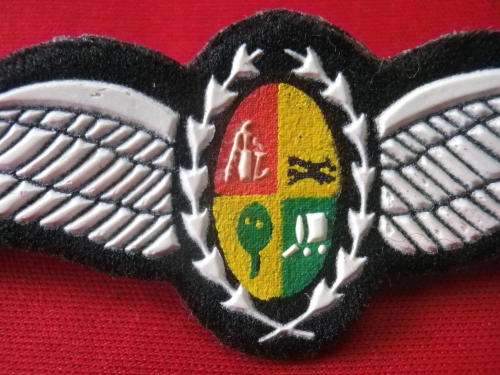 SAAF - PILOTS TUPPER WINGS     (4811)