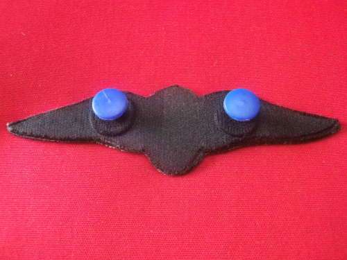 SAAF - PILOTS TUPPER WINGS     (4811)