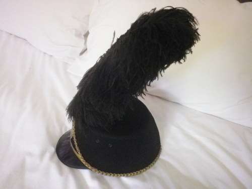 SADF - STATE PRESIDENTS GUARDS CAP + EARLY BADGE + OSTRICH FEATHER     (4841)