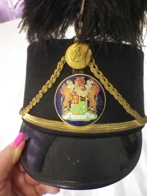 SADF - STATE PRESIDENTS GUARDS CAP + EARLY BADGE + OSTRICH FEATHER     (4841)