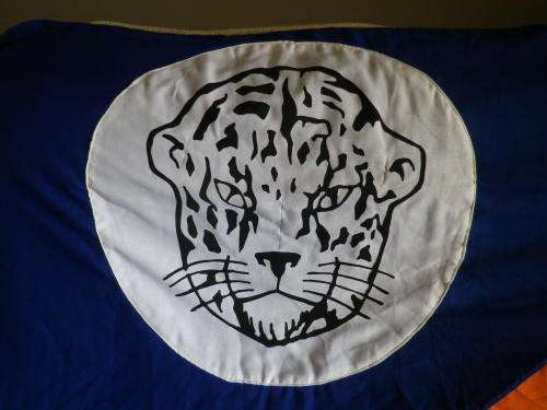 BOPHUTHATSWANA NATIONAL FLAG  -  180 x 120CM    1986  -            (8519)