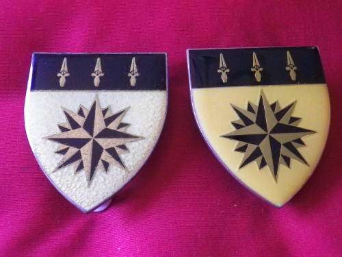 SADF - 1 RECCE REGT PAIR OF FLASHES - NOTE CONDITION OF 1 FLASH                     (2931)
