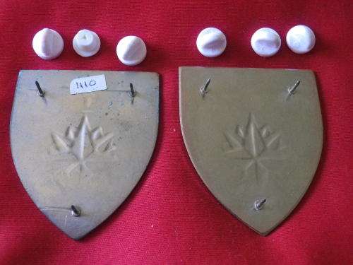 SADF - 1 RECCE REGT PAIR OF FLASHES - NOTE CONDITION OF 1 FLASH                     (2931)