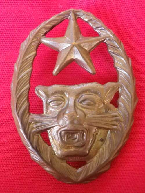 MIKE HOARE`S CONGO MERCENARY 5 COMMANDO BERET BADGE - RARE - SLIDER CUT OFF, RELUGGED   (4092)