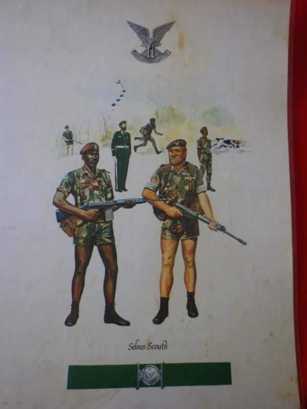 RHODESIA - SELOUS SCOUTS LAMINATED SHEET FROM `UNIFORMS RHOD SEC. FORCES`  - SIZE 44 X 62cm  (4172)