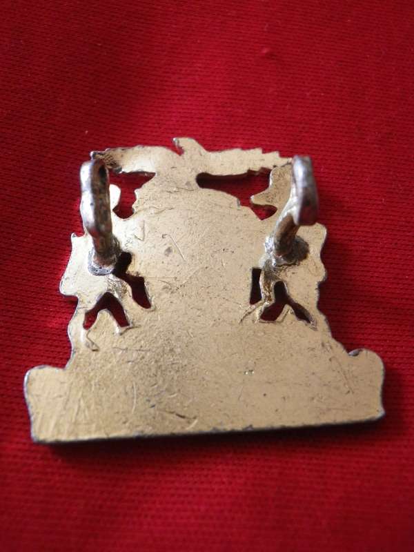 RHODESIA & NYASALAND - ANODISED HAT BADGE - 1 LUG DAMAGED               (8537)