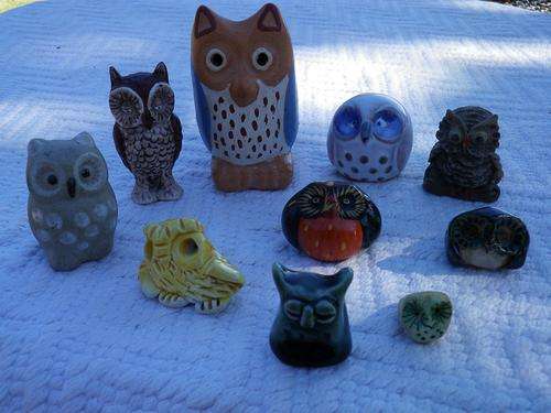 OWLS - collection of 10 cute Owls