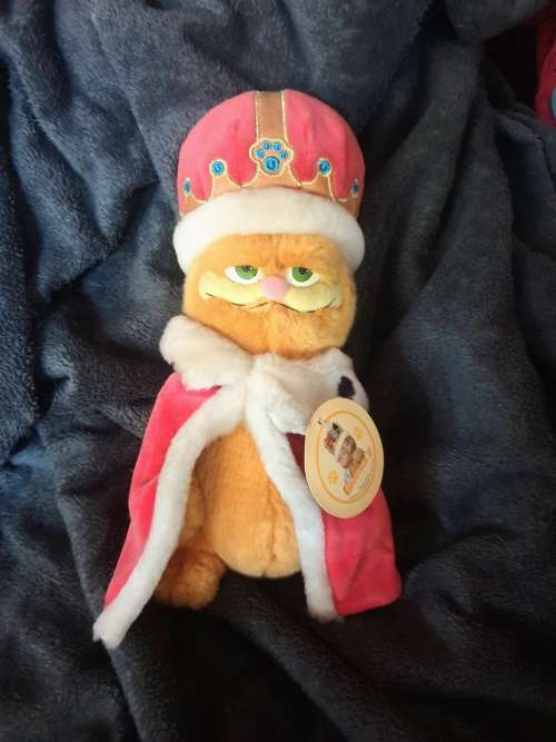 Cute Garfield cat soft toy with crown and gown Condition: like new, still with tag