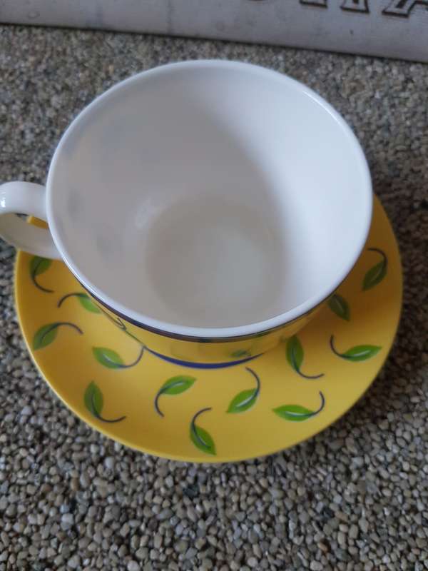 Teacup & saucer with lemon & leaf design By Inoha zest collection, made in France In perfect conditi