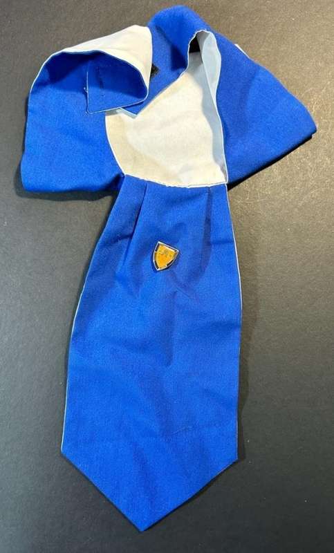 SADF - Special Services Battalion Cravat