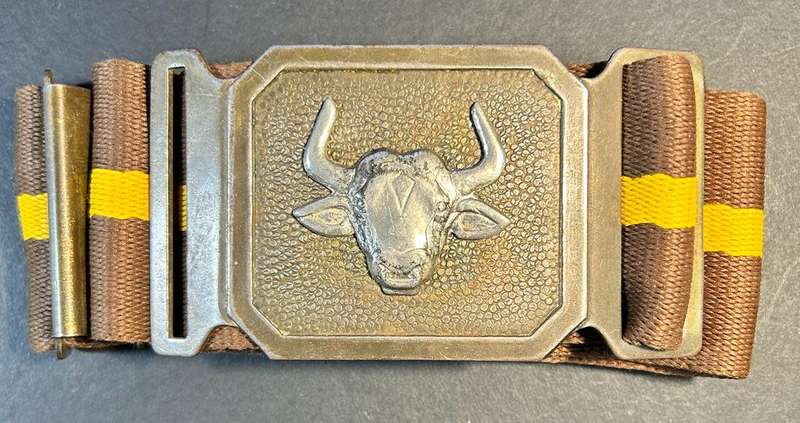 SADF - 116 Battalion Stable Belt