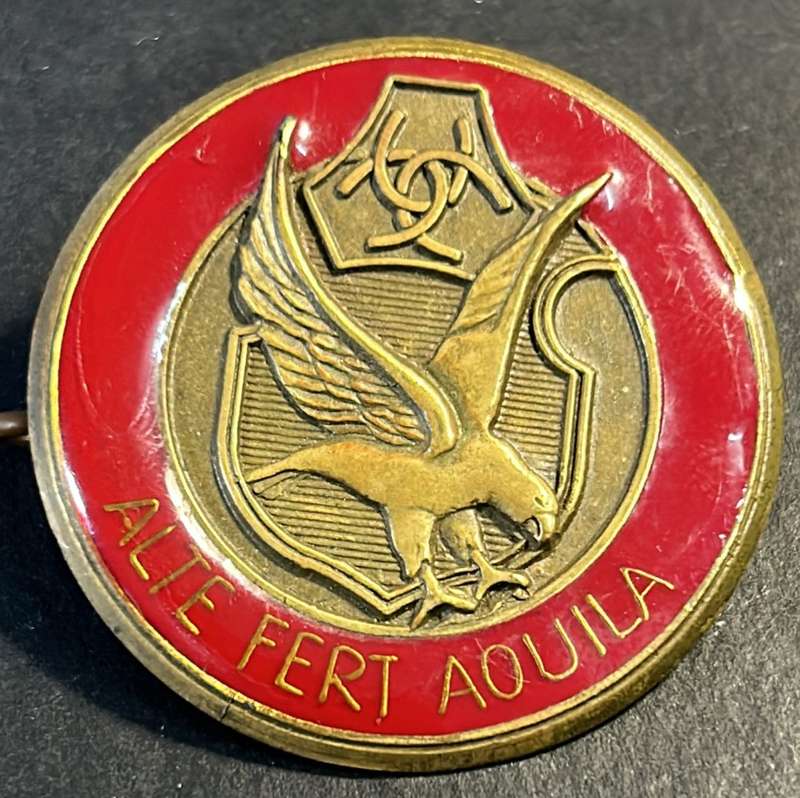 AWB - The Afrikaner Weerstandsbeweging  - Afrikaner Resistence Movement Cap Badge