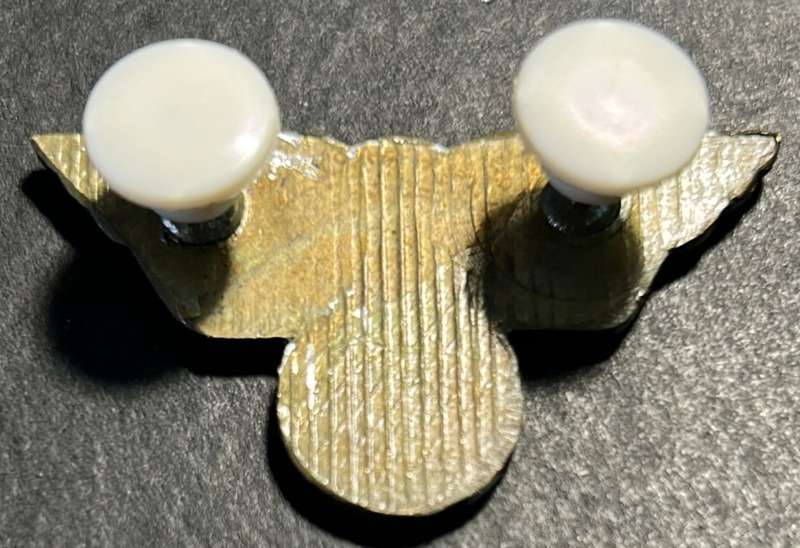 AWB - The Afrikaner Weerstandsbeweging  - Afrikaner Resistence Movement Collar Badge