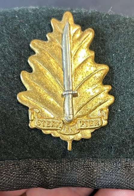 SADF - Stellenbosch University Regiment Beret