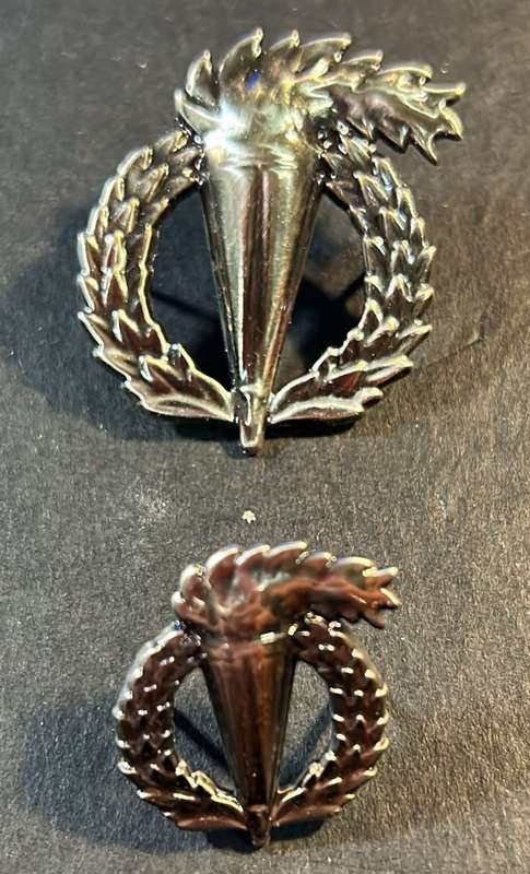 SADF  - Pathfinder Proficiency Badges ( Full Size and Mess Dress )