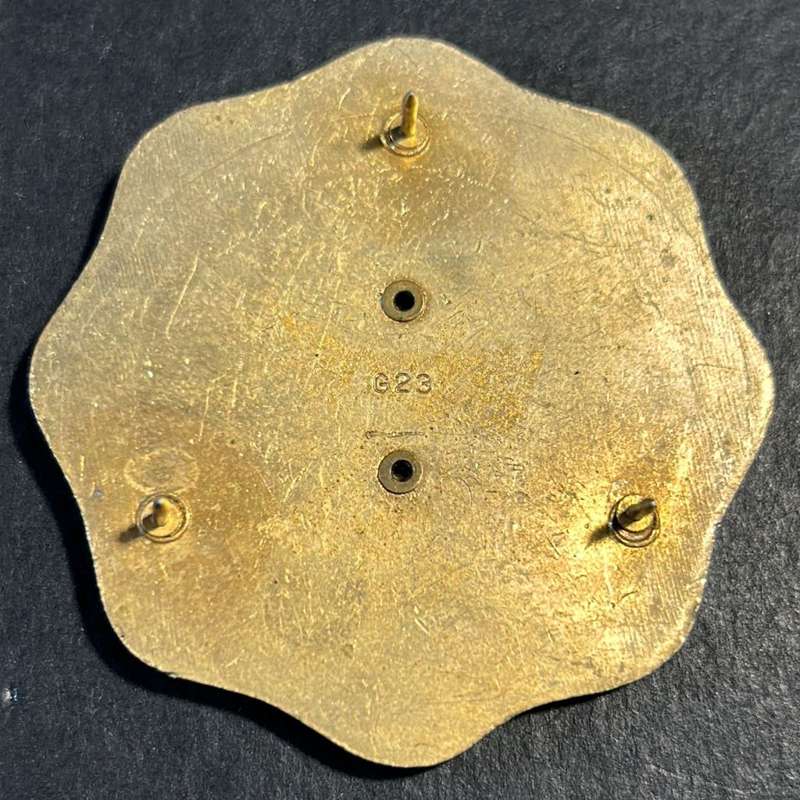 United States of America - Army Schools Badge