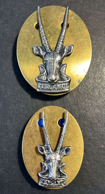 SADF - South West Africa Territory Forces (SWATF) HQ Beret and Cap Badge
