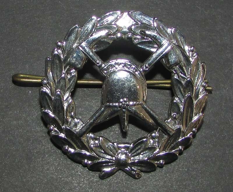 South African Fire Service Badge