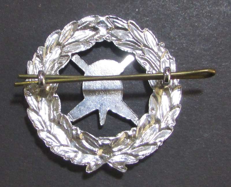South African Fire Service Badge