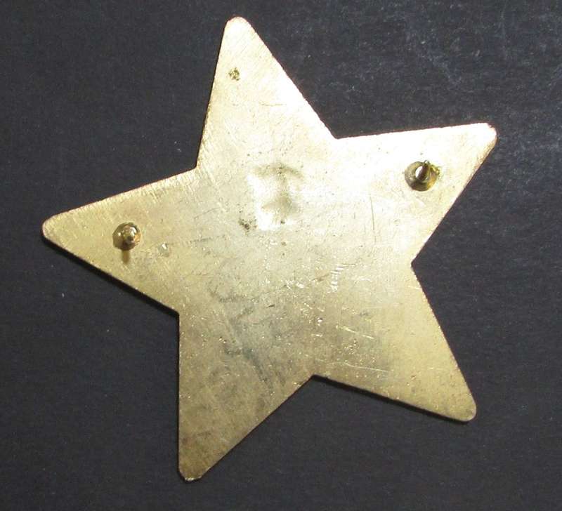 South African Traffic Police Badges