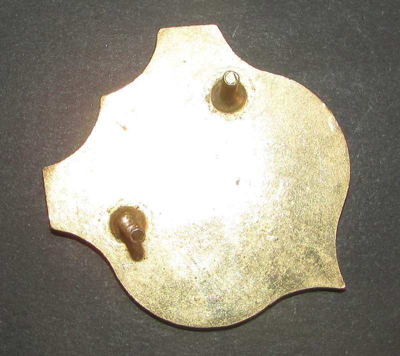 South African Traffic Police Badge