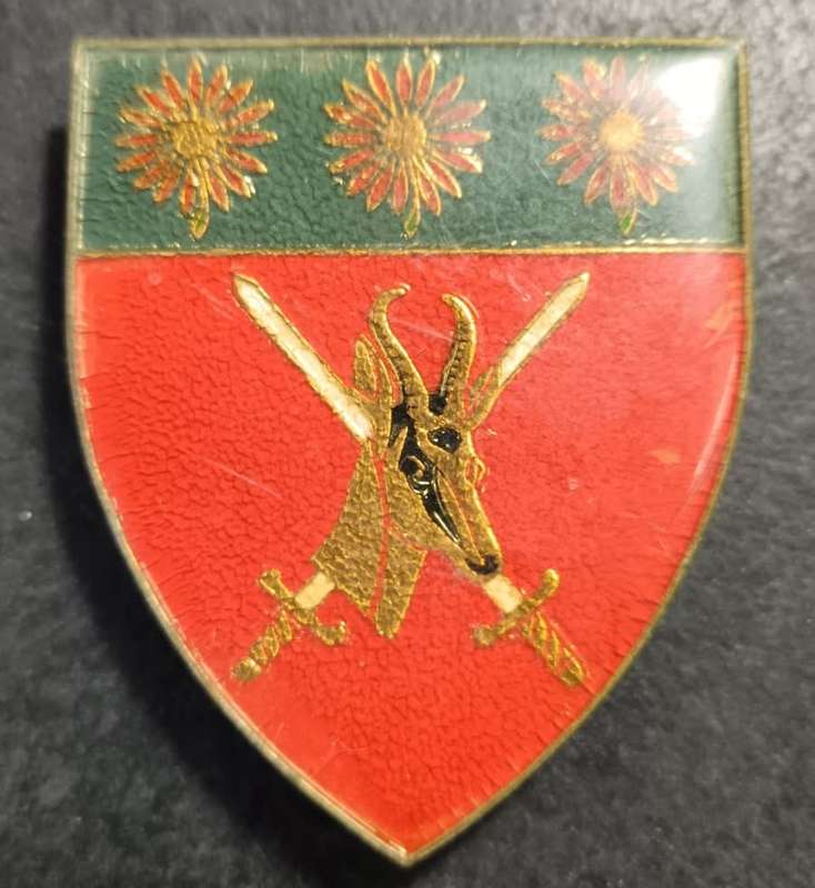 SADF - N/Transvaal Command Shoulder Flash