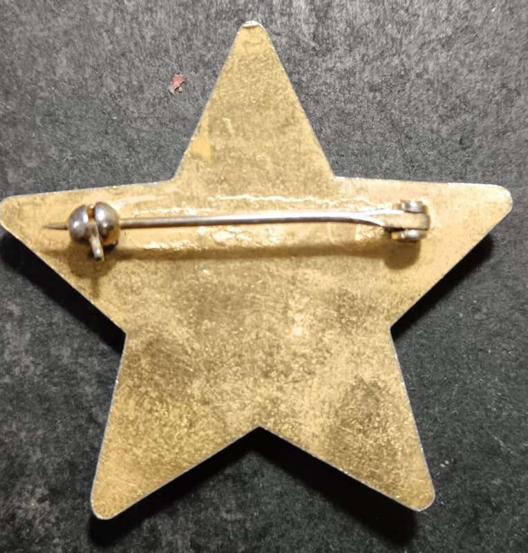 South African Traffic Police Badge