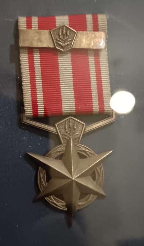 SADF - Collection of WW2 and SA Medals with Badges Framed