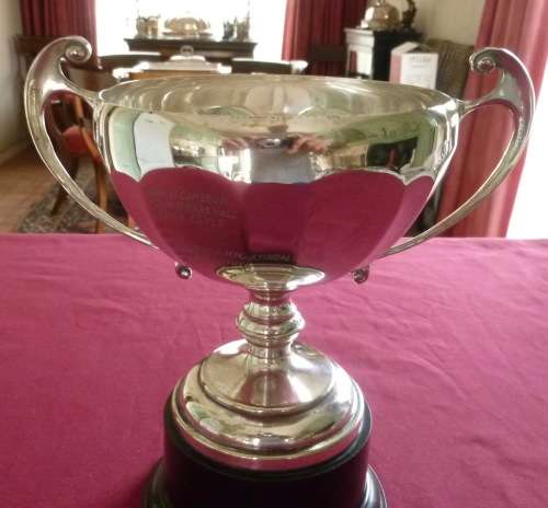 Large silver plated trophy on stand