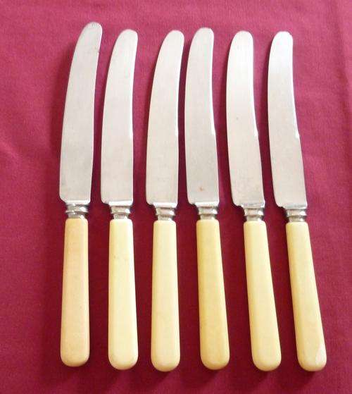 Set of six bone handled table knives