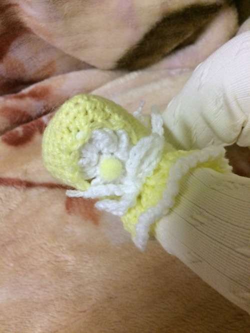 Daisies Crocheted Baby Girl Jacket and Shoes (0-3+ Months)