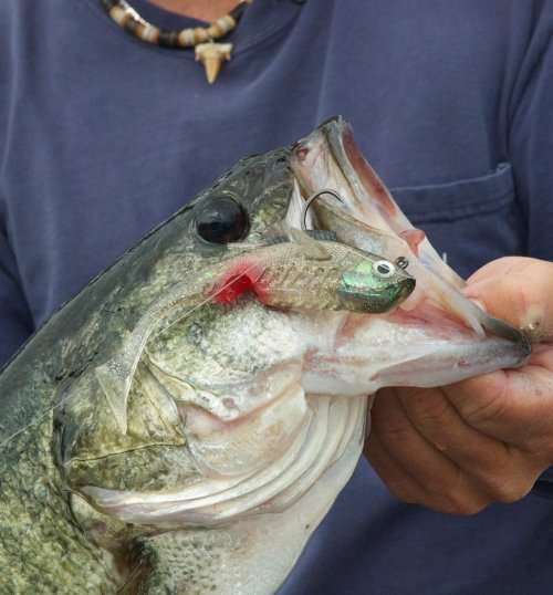 Original Mighty Bite Basic Fishing Kit